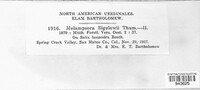 Melampsora bigelowii image